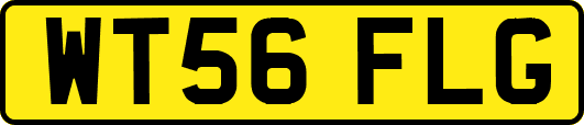 WT56FLG