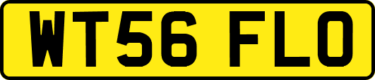 WT56FLO