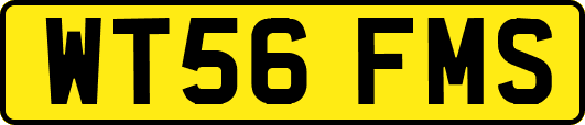 WT56FMS
