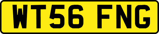 WT56FNG