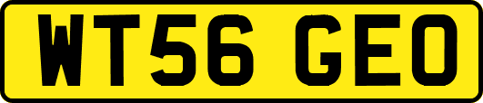 WT56GEO