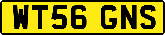 WT56GNS