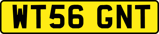 WT56GNT