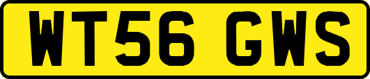 WT56GWS