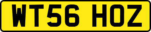 WT56HOZ