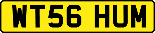 WT56HUM