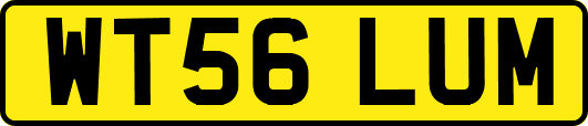 WT56LUM