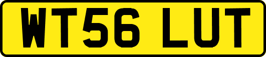 WT56LUT