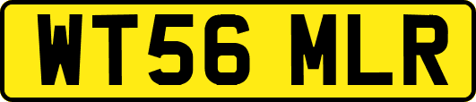WT56MLR