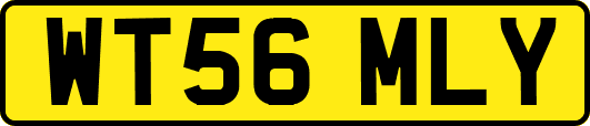 WT56MLY