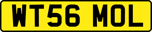 WT56MOL