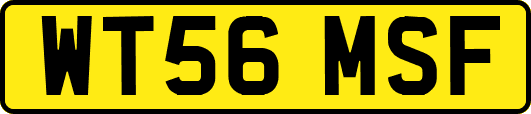 WT56MSF