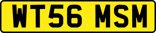WT56MSM