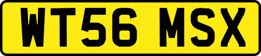 WT56MSX