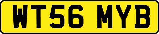 WT56MYB