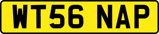 WT56NAP