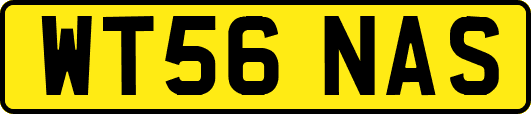 WT56NAS