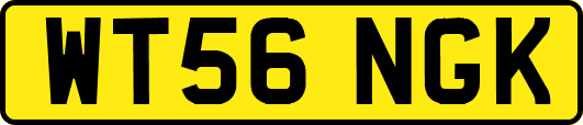 WT56NGK