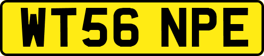 WT56NPE