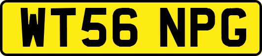 WT56NPG