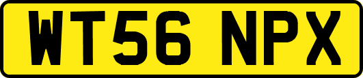 WT56NPX
