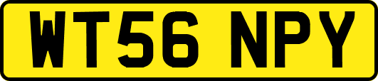 WT56NPY