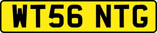 WT56NTG