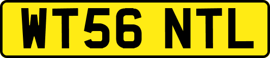 WT56NTL