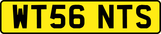 WT56NTS