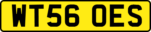 WT56OES