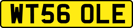 WT56OLE