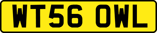 WT56OWL