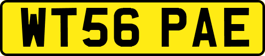 WT56PAE