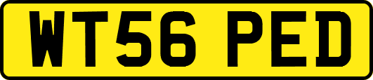 WT56PED