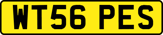 WT56PES
