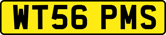 WT56PMS