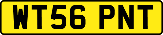 WT56PNT