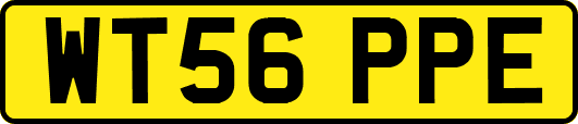 WT56PPE