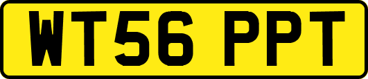 WT56PPT