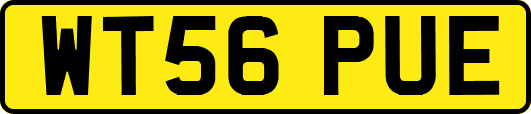 WT56PUE