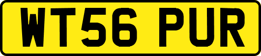 WT56PUR