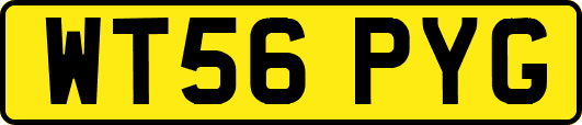 WT56PYG