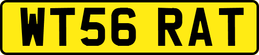 WT56RAT
