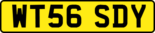 WT56SDY