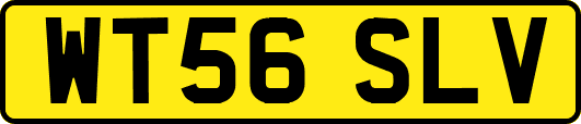 WT56SLV