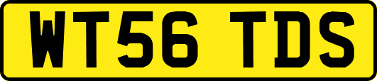 WT56TDS