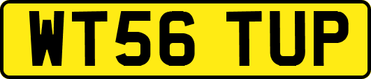 WT56TUP