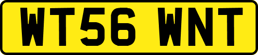 WT56WNT