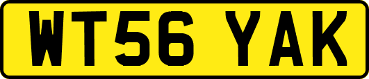 WT56YAK