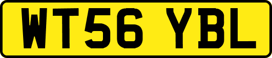 WT56YBL